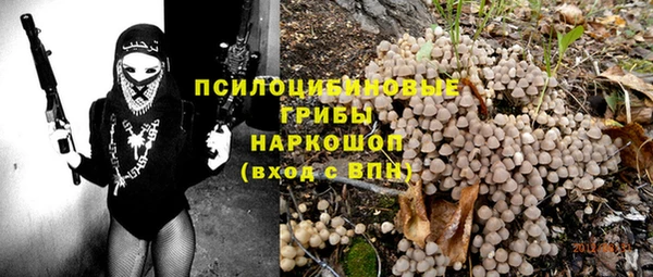 прущие грибы Алексин