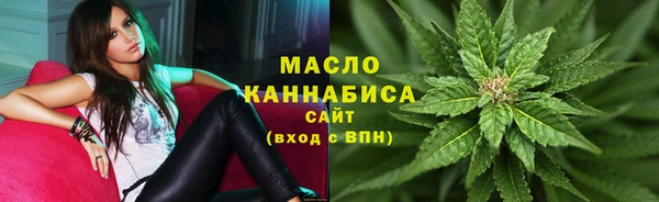 прущие грибы Алзамай