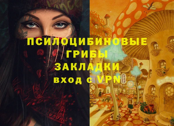 СК Алексеевка